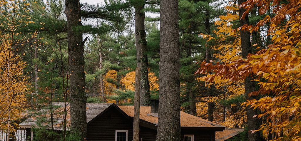 El otoño es la época perfecta para aislar tu hogar ya que no existen variaciones de temperatura extremas.