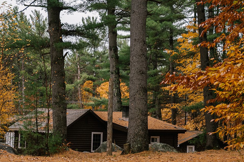 El otoño es la época perfecta para aislar tu hogar ya que no existen variaciones de temperatura extremas.